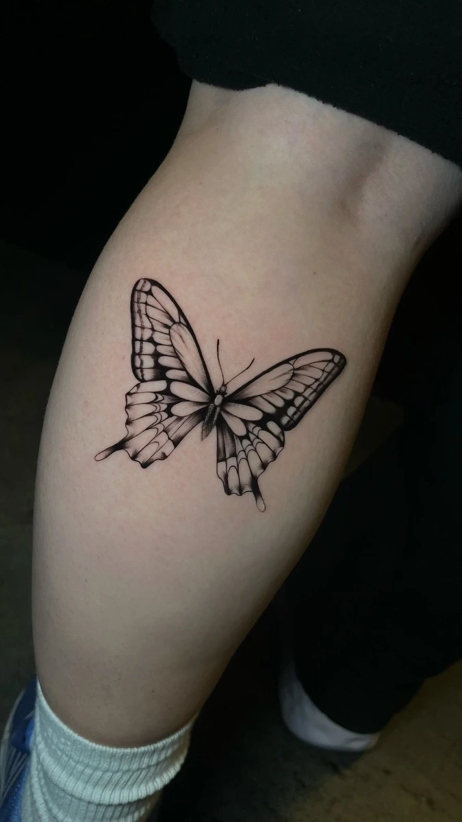 fine line butterfly