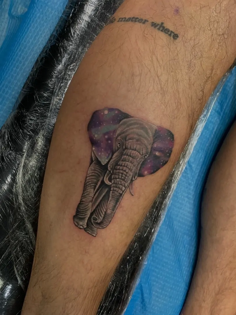 micro realism elephant